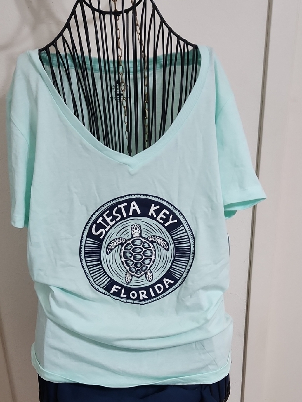 Siesta Key Florida Turtle Graphic Tee - Mint